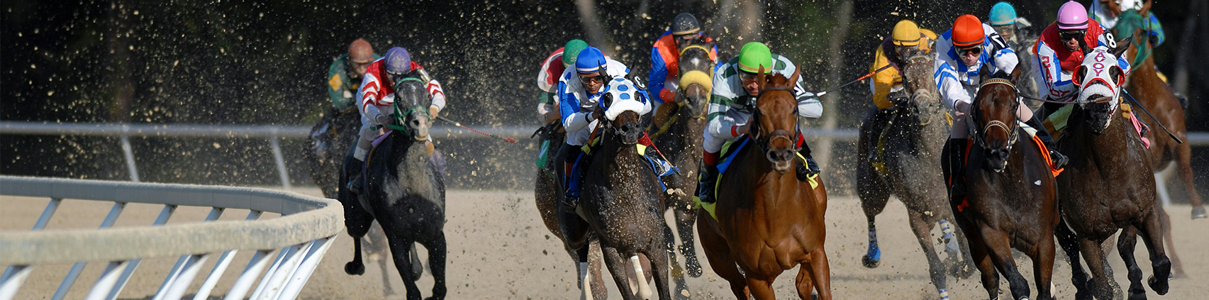 horse racing banner-1