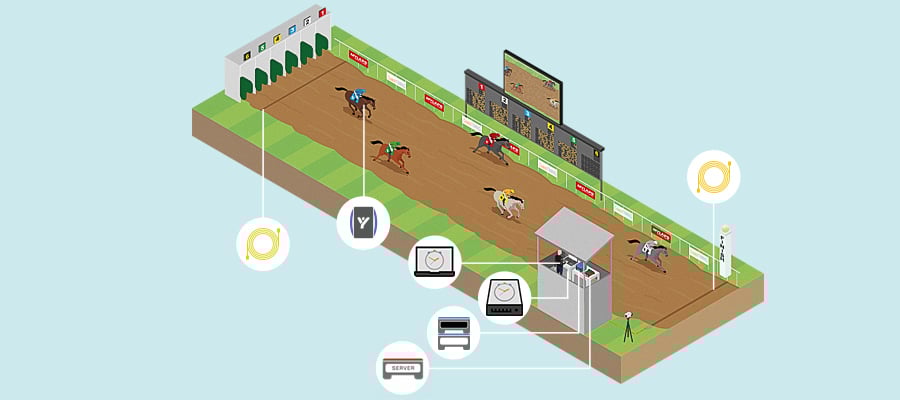 horse training setup