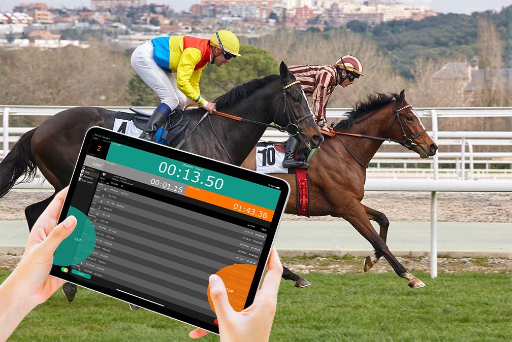 Horse iPad